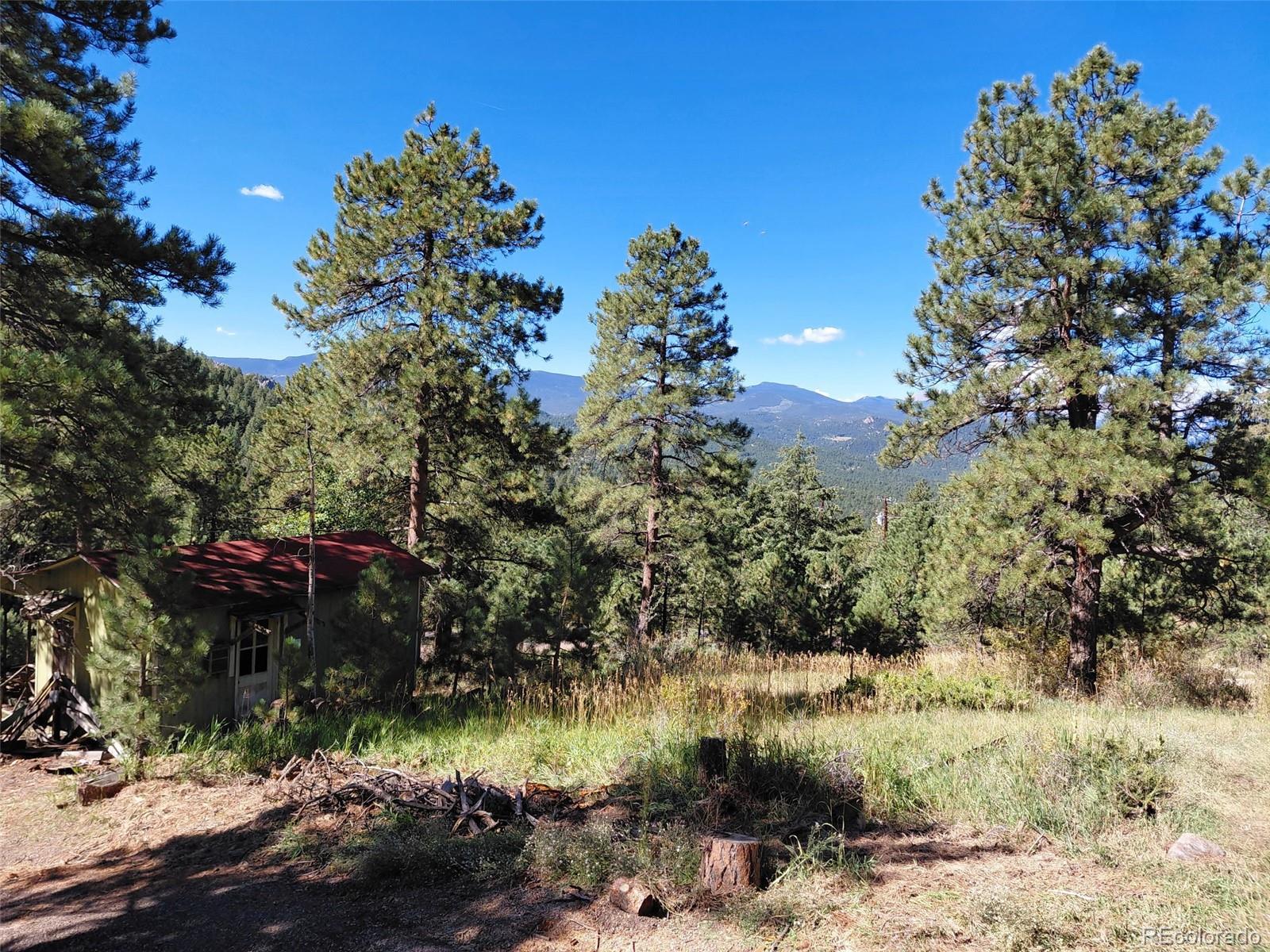 MLS Image #7 for 26130  edelweiss circle,evergreen, Colorado