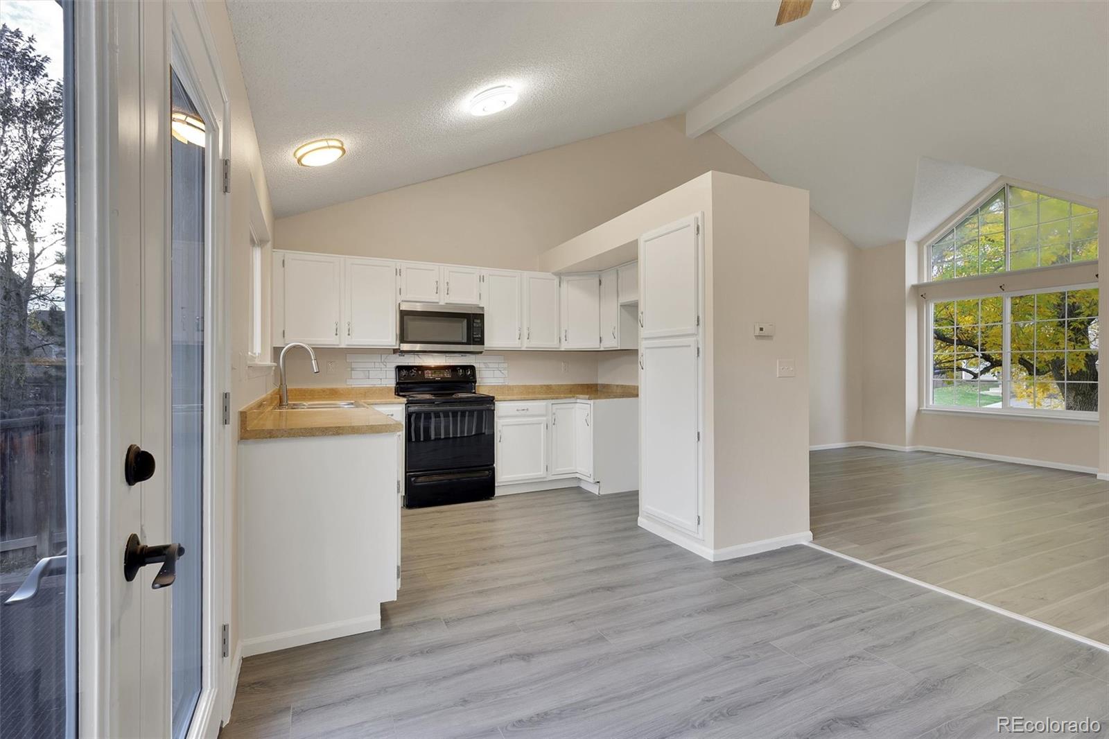 MLS Image #9 for 10318  severance drive,parker, Colorado