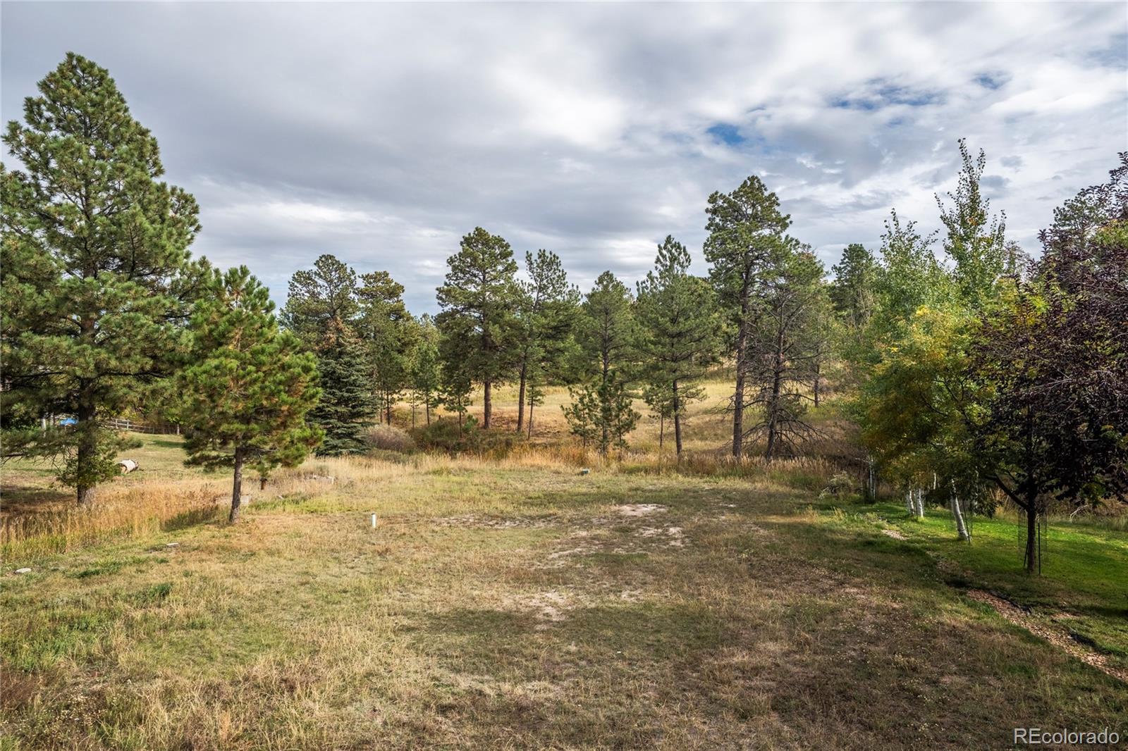 MLS Image #39 for 1312  gambel oaks drive,elizabeth, Colorado