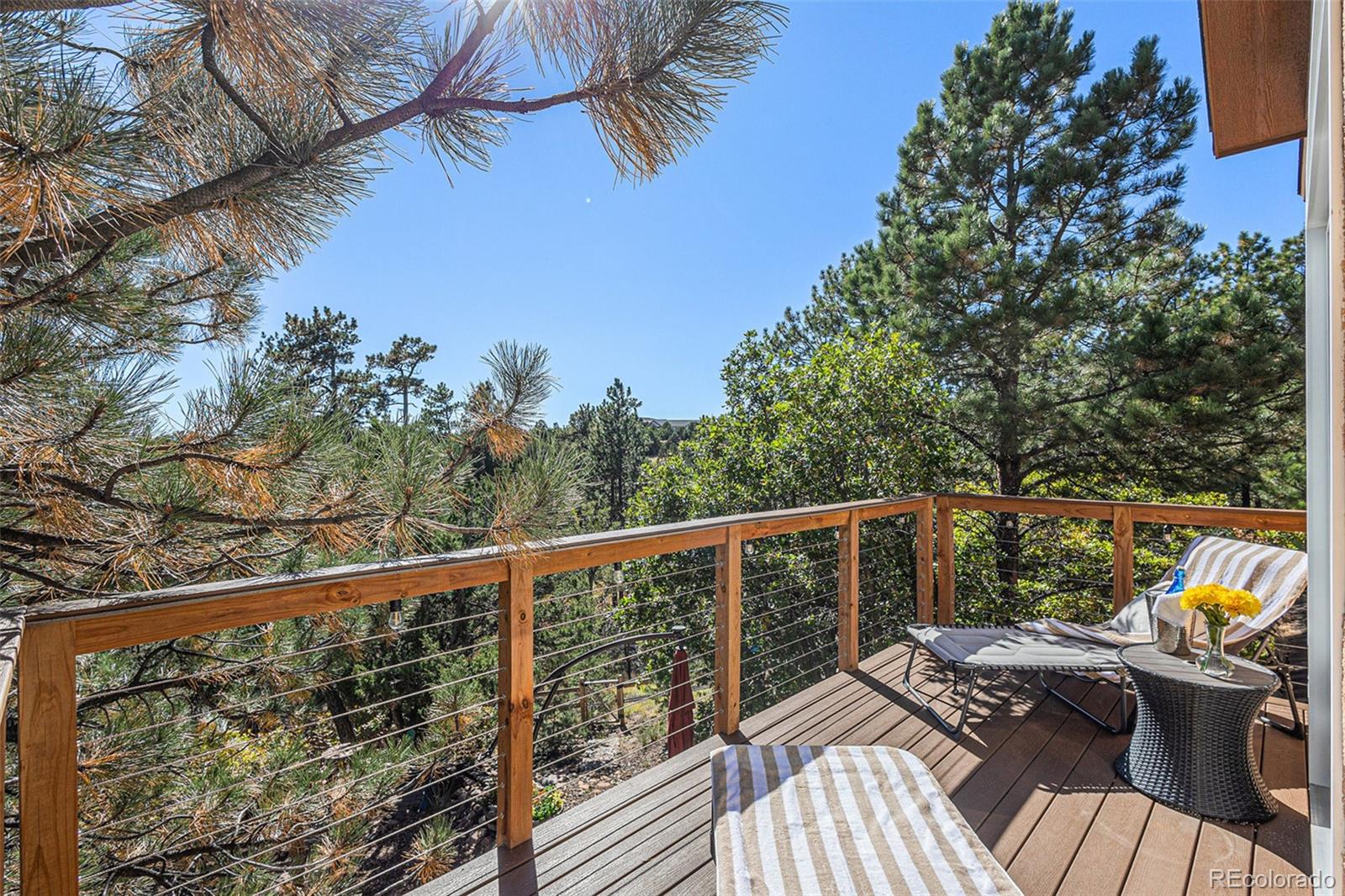 MLS Image #20 for 15631  cala rojo drive,colorado springs, Colorado