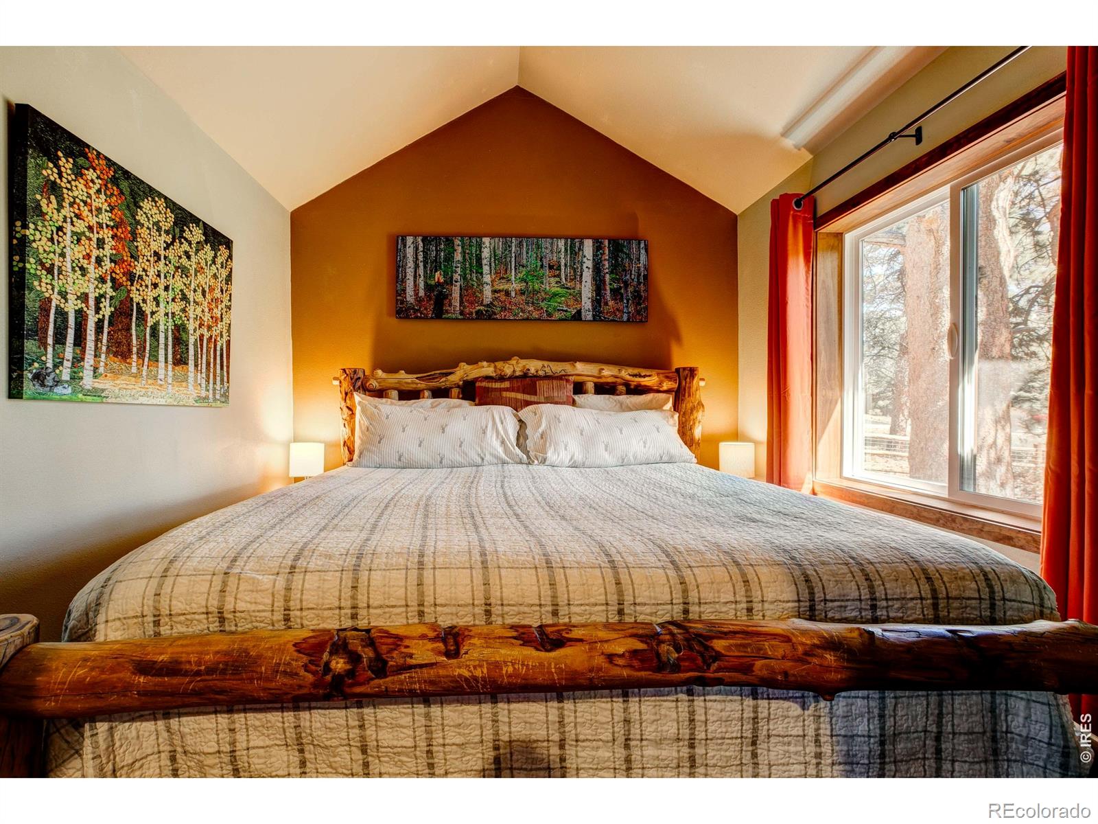 MLS Image #5 for 930  highacres drive,estes park, Colorado