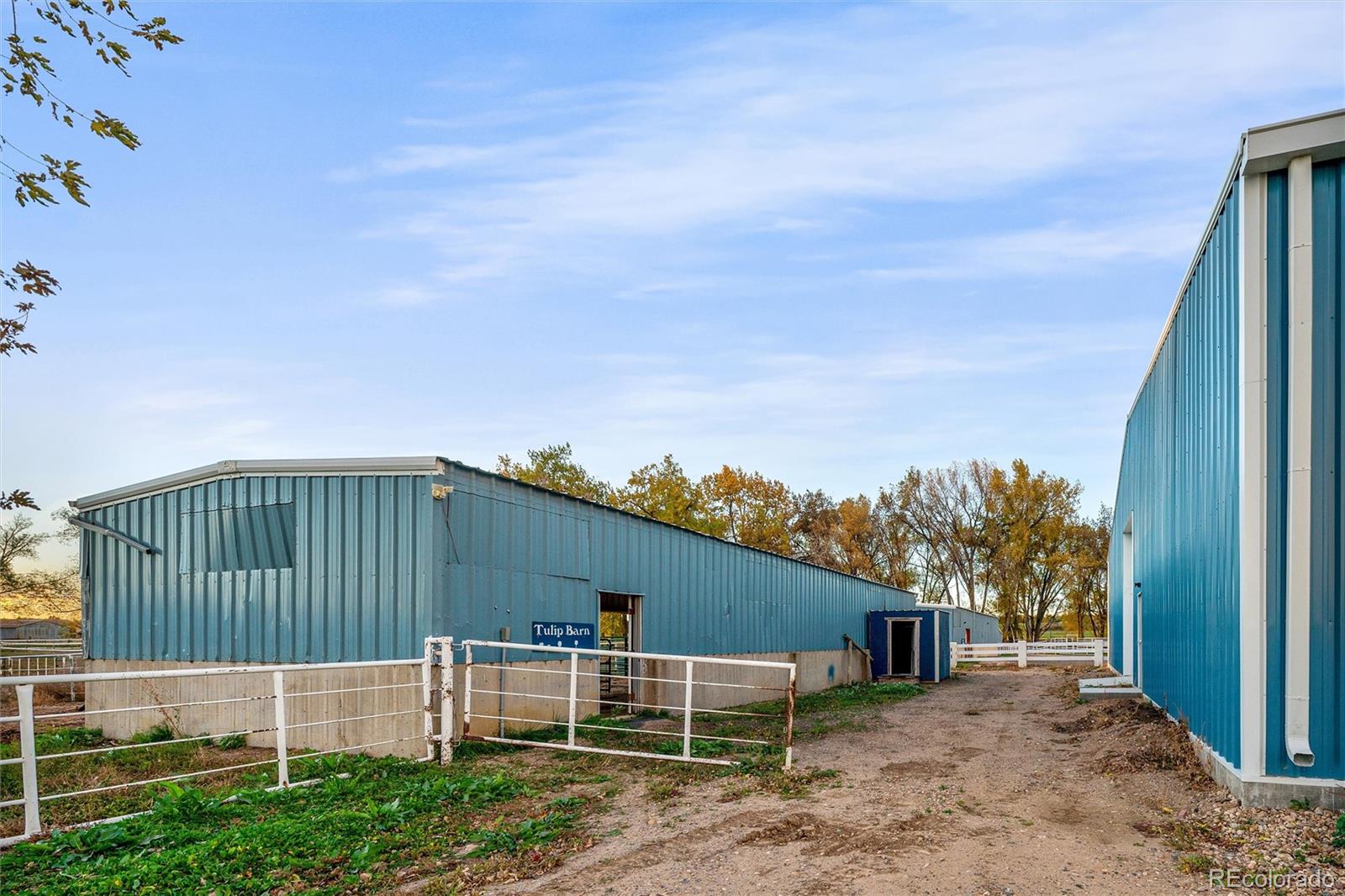 MLS Image #21 for 8778  arapahoe road,boulder, Colorado