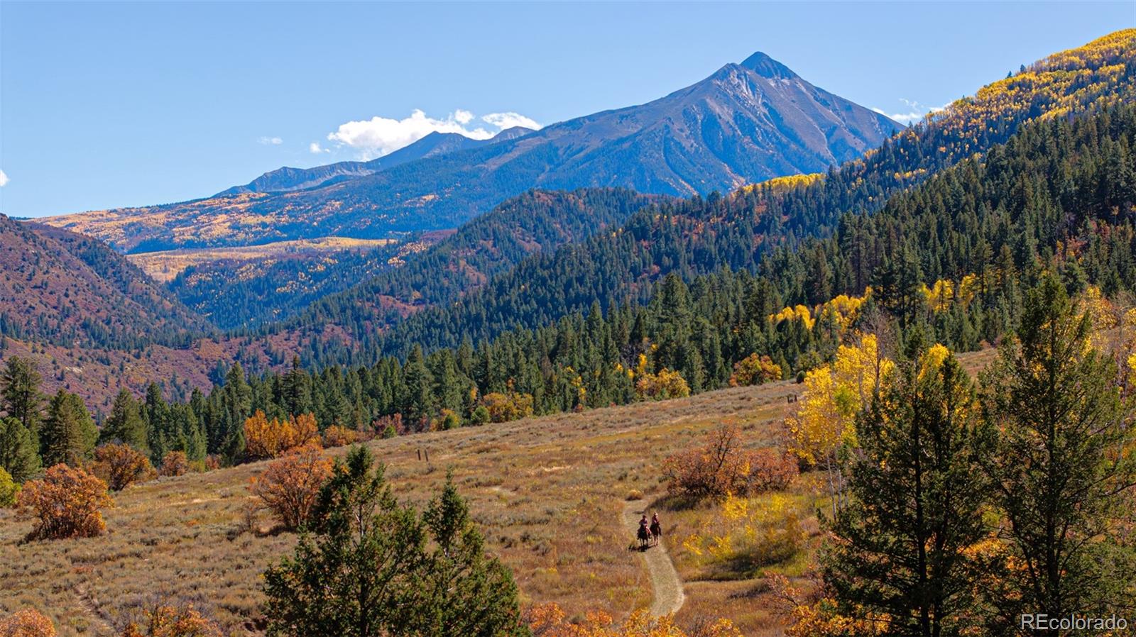 MLS Image #11 for 30680  county road 12 ,somerset, Colorado