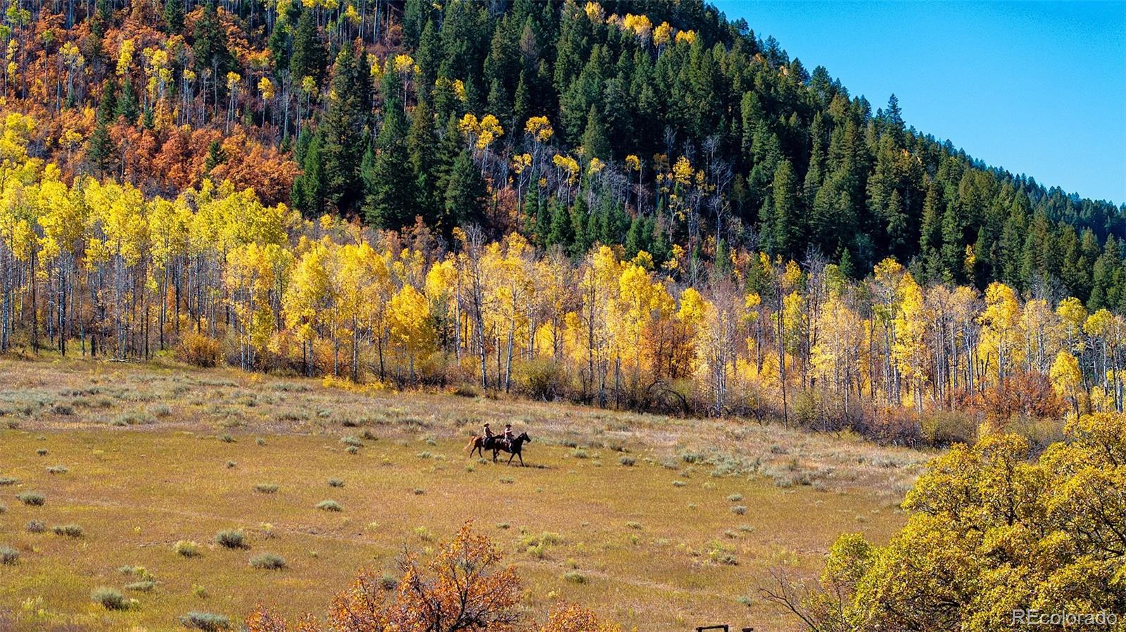 MLS Image #12 for 30680  county road 12 ,somerset, Colorado