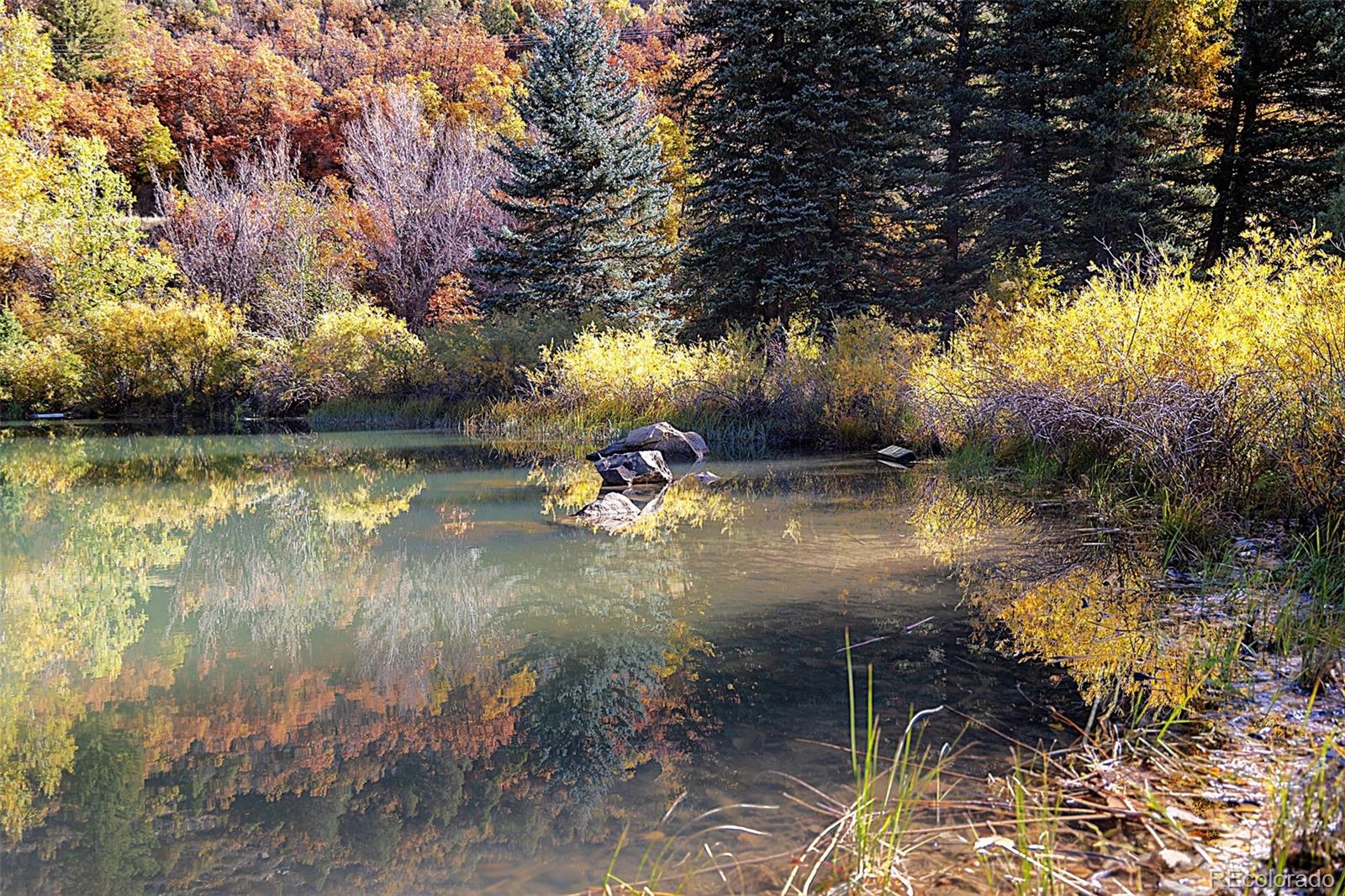 MLS Image #14 for 30680  county road 12 ,somerset, Colorado