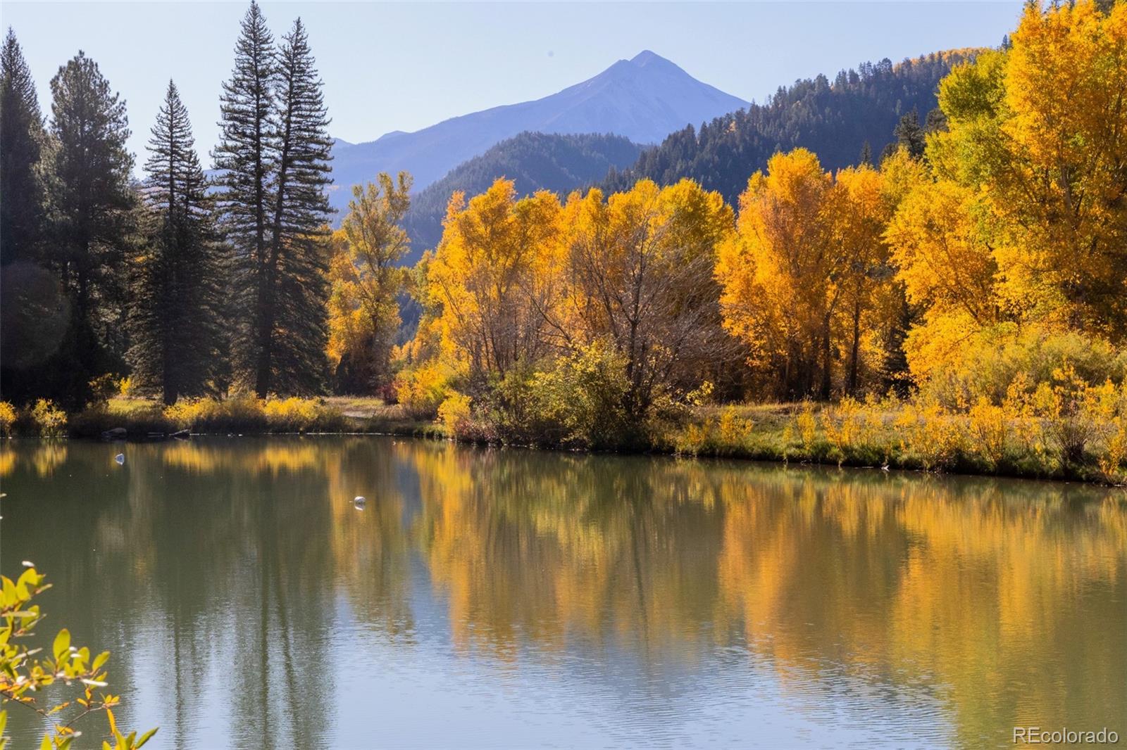 MLS Image #15 for 30680  county road 12 ,somerset, Colorado