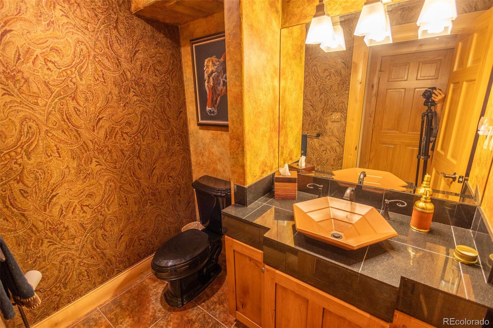 MLS Image #46 for 30680  county road 12 ,somerset, Colorado