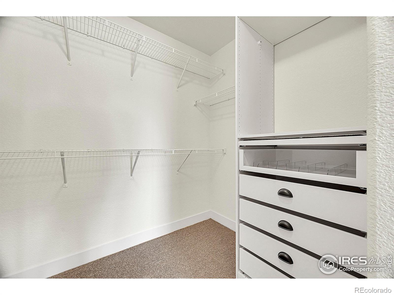 MLS Image #16 for 6460  orchard park drive,greeley, Colorado