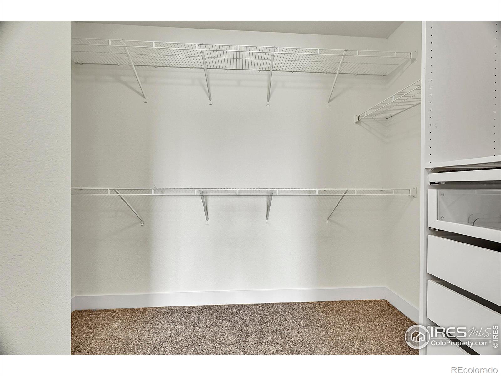 MLS Image #17 for 6460  orchard park drive,greeley, Colorado