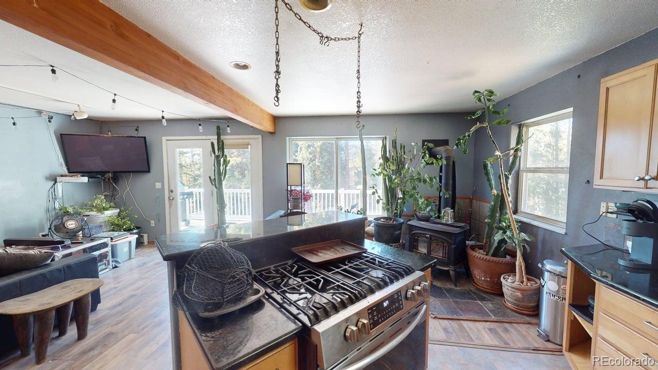 MLS Image #3 for 280  cr-14 a ,fairplay, Colorado