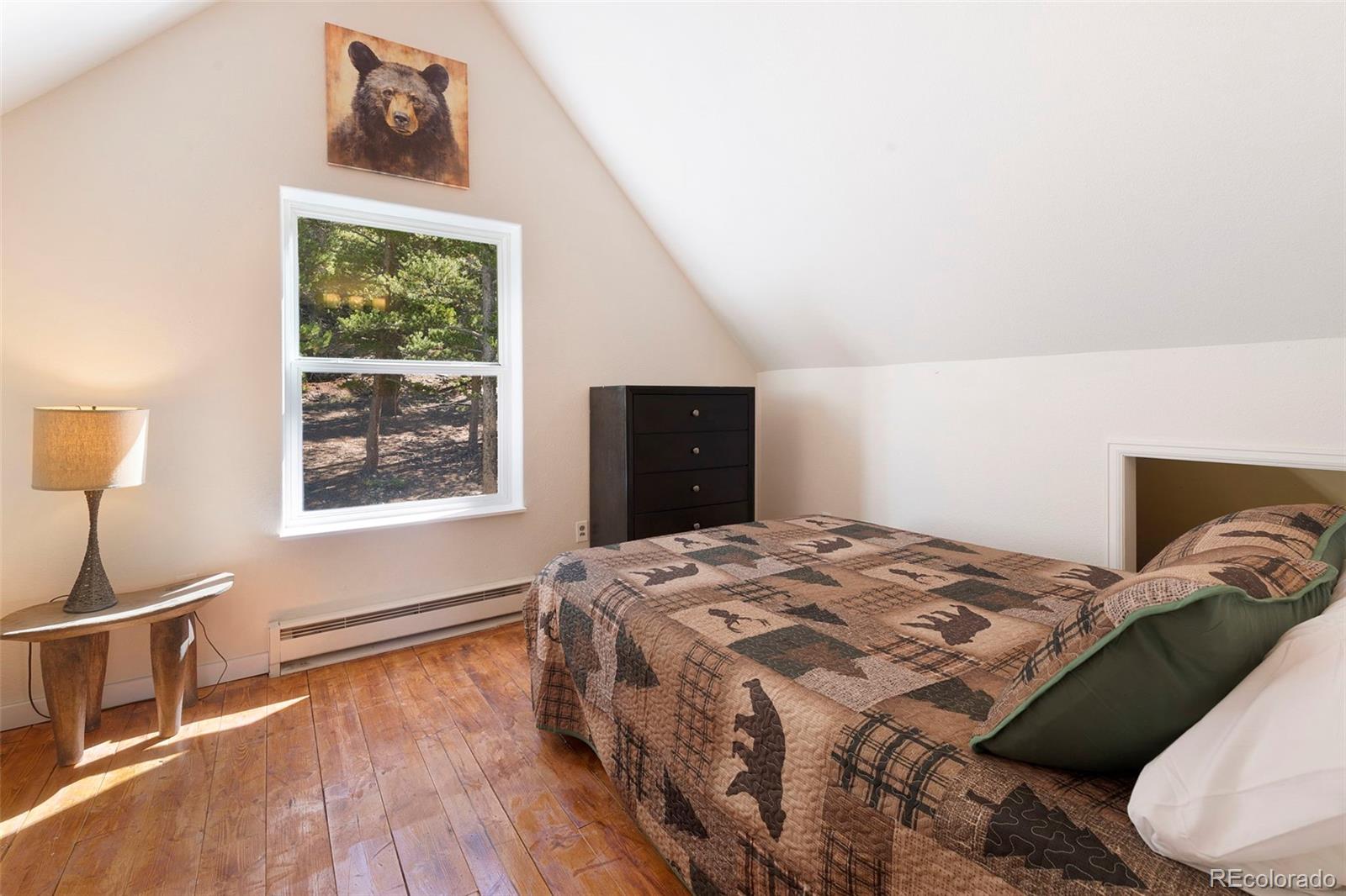 MLS Image #36 for 280  cr-14 a ,fairplay, Colorado
