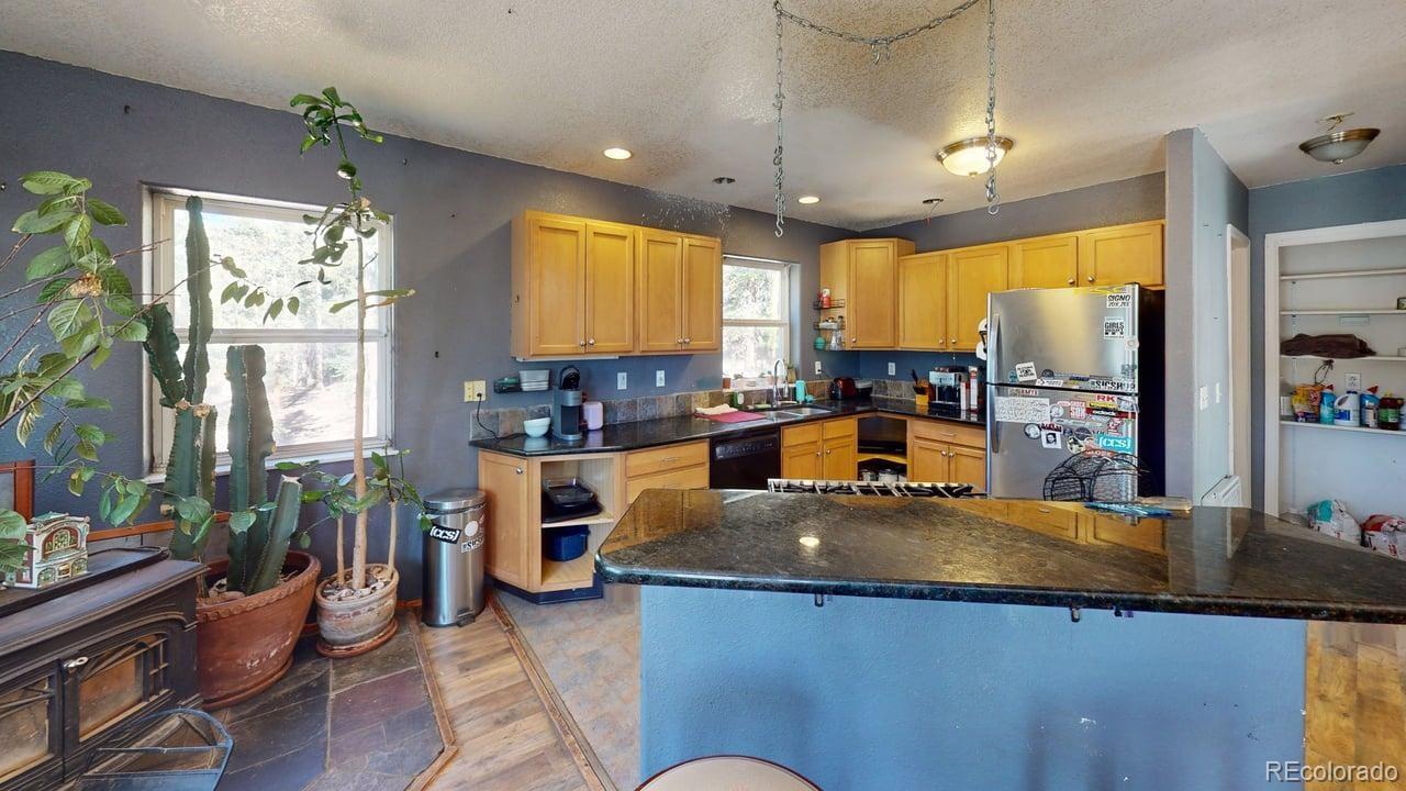 MLS Image #4 for 280  cr-14 a ,fairplay, Colorado