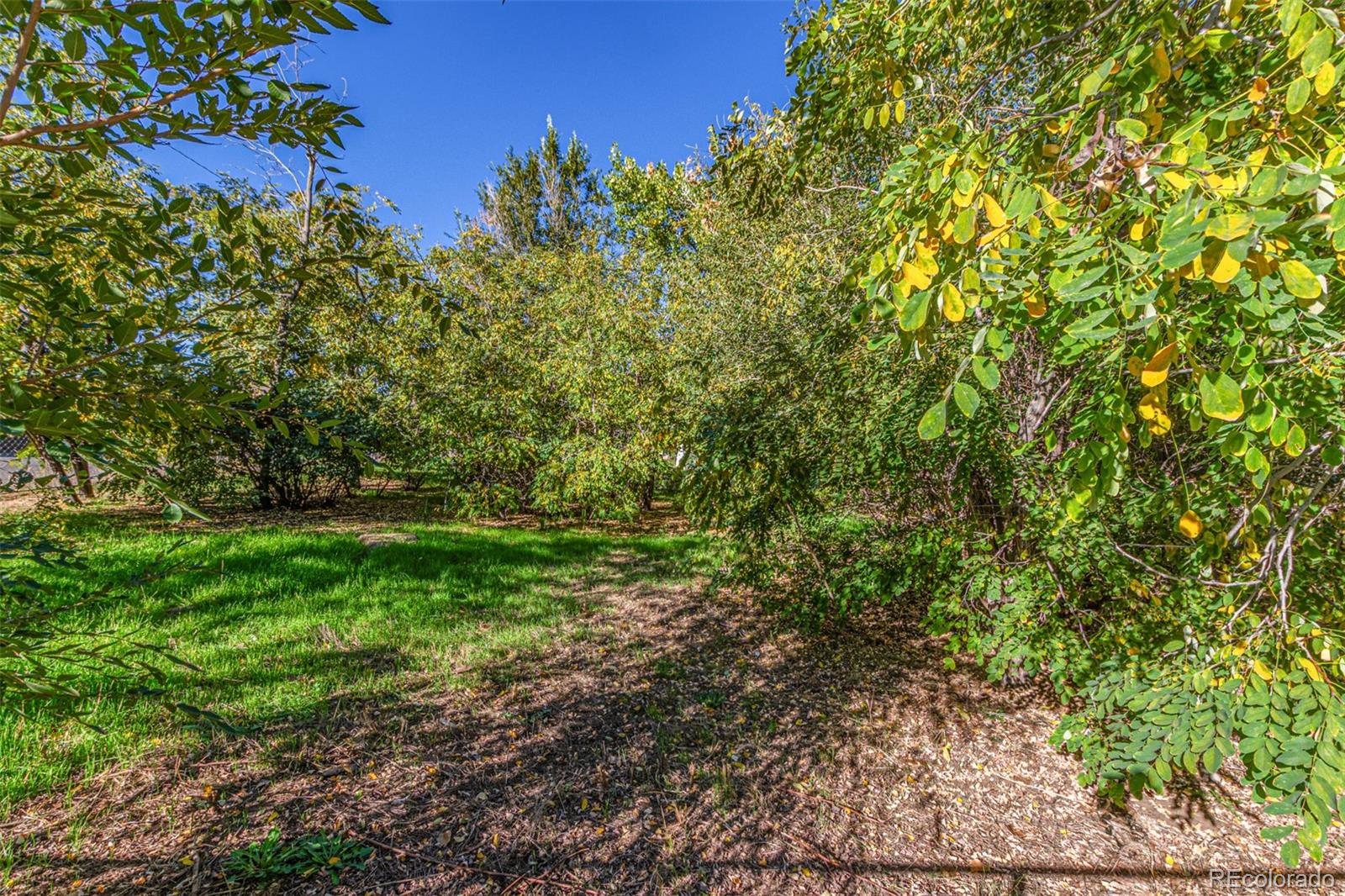 MLS Image #25 for 1209  alton street,aurora, Colorado