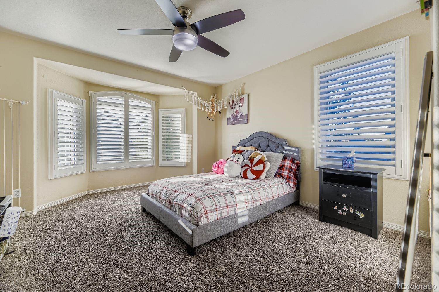 MLS Image #21 for 8356  green island circle,lone tree, Colorado