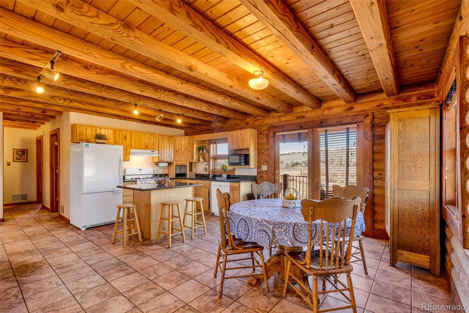 MLS Image #10 for 1528  silverheels road,fairplay, Colorado