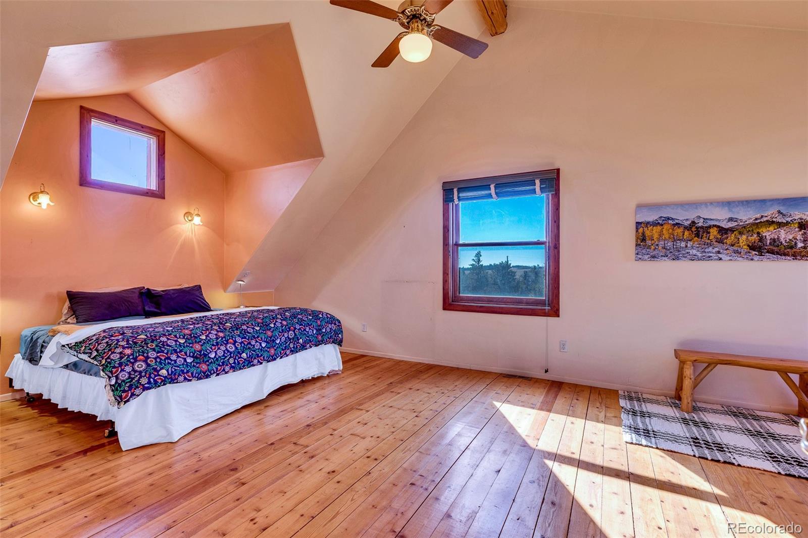 MLS Image #13 for 1528  silverheels road,fairplay, Colorado