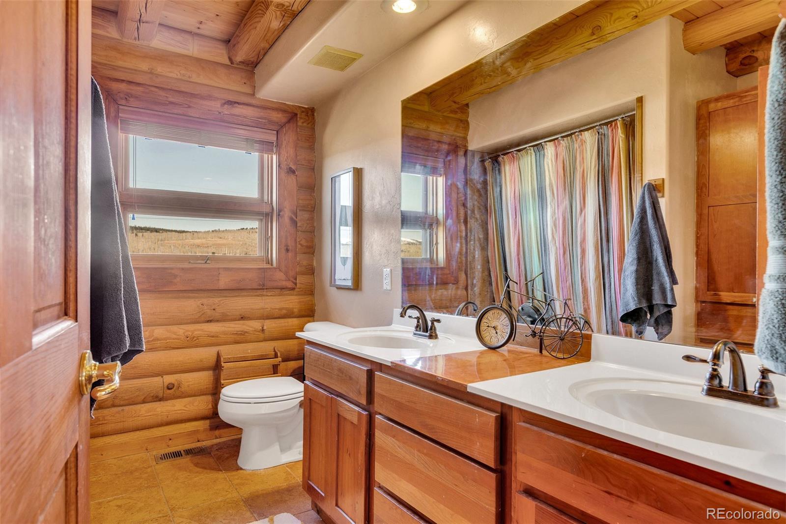 MLS Image #19 for 1528  silverheels road,fairplay, Colorado