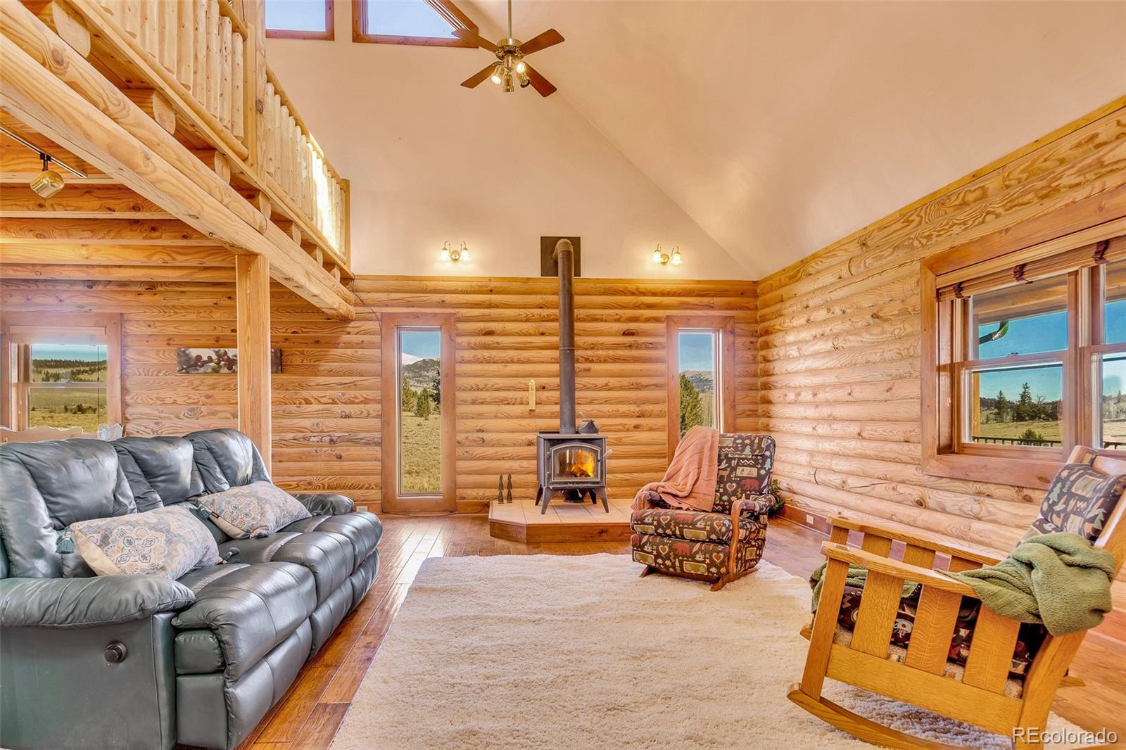 MLS Image #2 for 1528  silverheels road,fairplay, Colorado