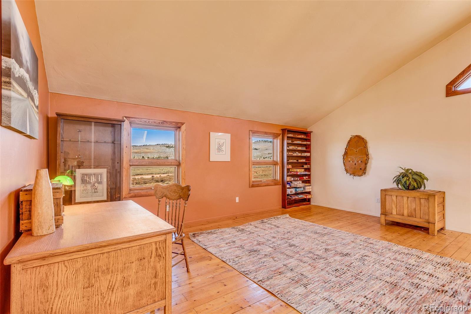 MLS Image #20 for 1528  silverheels road,fairplay, Colorado