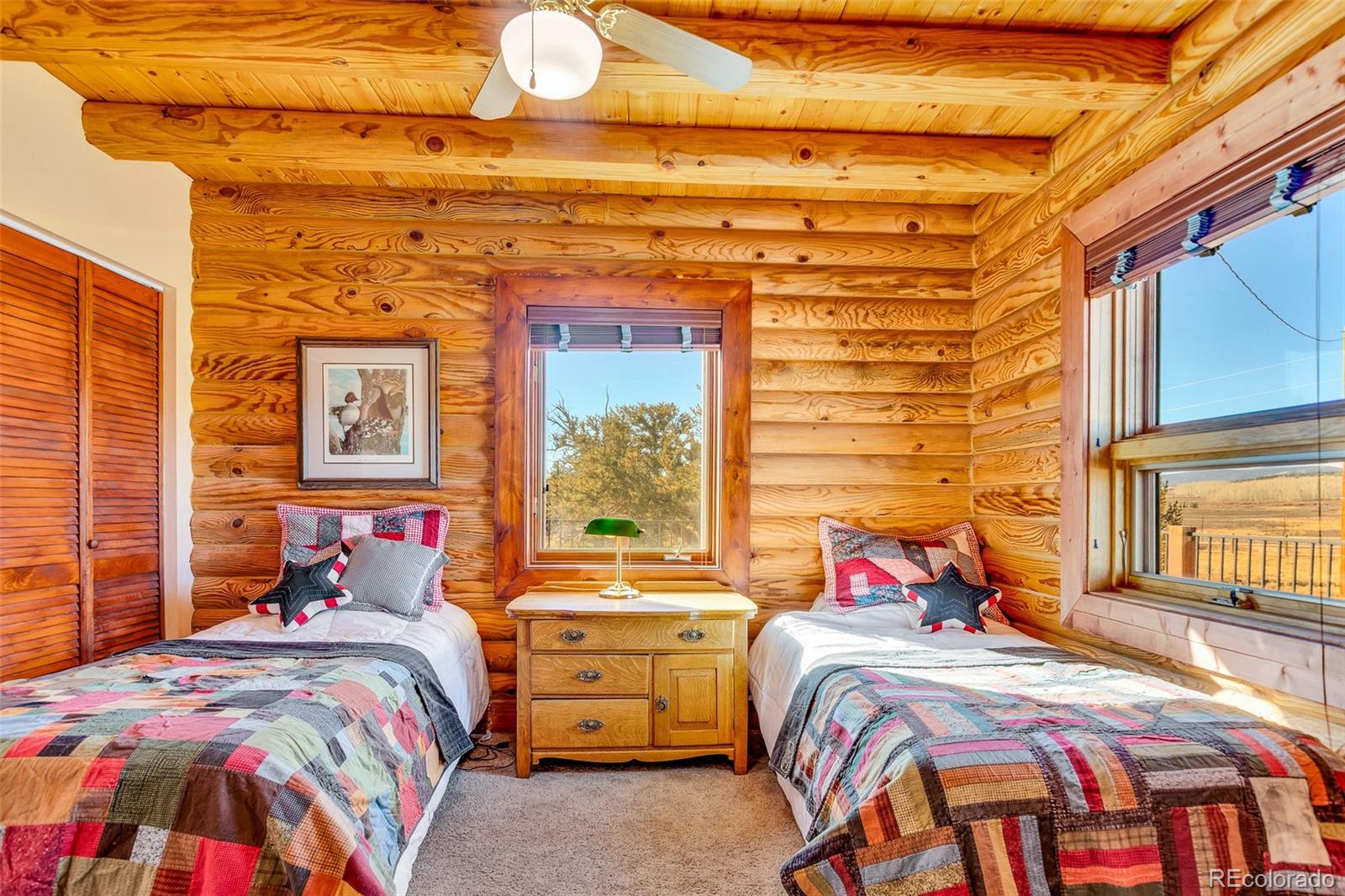 MLS Image #25 for 1528  silverheels road,fairplay, Colorado