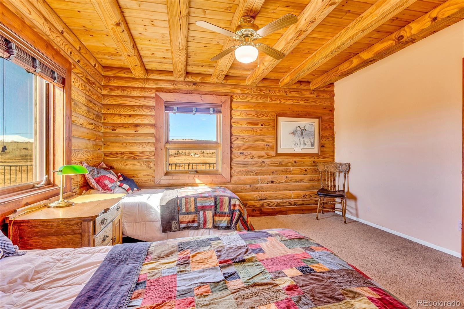MLS Image #26 for 1528  silverheels road,fairplay, Colorado