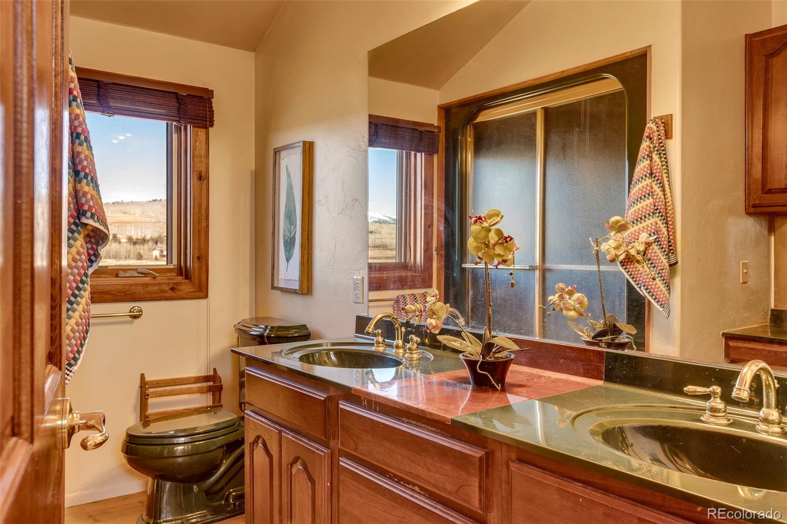 MLS Image #28 for 1528  silverheels road,fairplay, Colorado