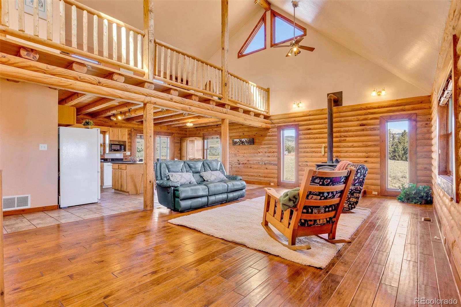 MLS Image #3 for 1528  silverheels road,fairplay, Colorado