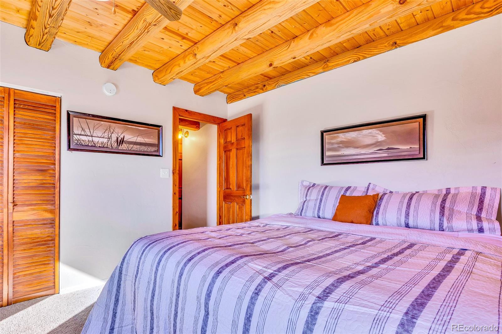 MLS Image #30 for 1528  silverheels road,fairplay, Colorado