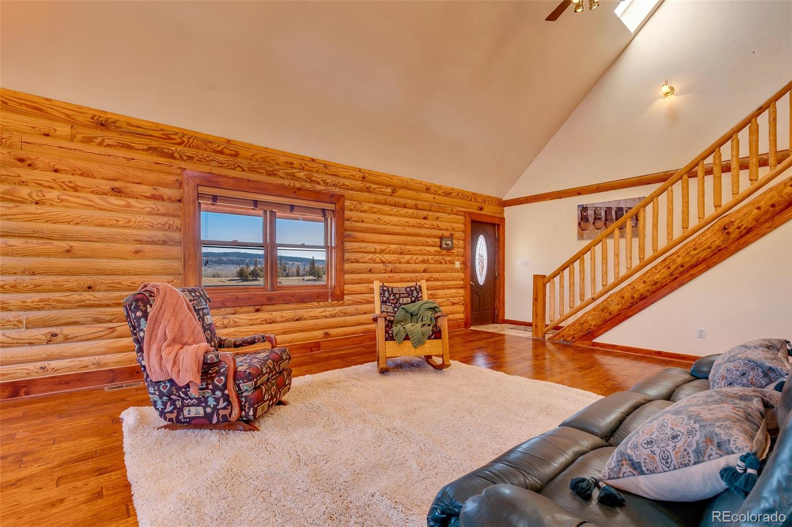 MLS Image #4 for 1528  silverheels road,fairplay, Colorado
