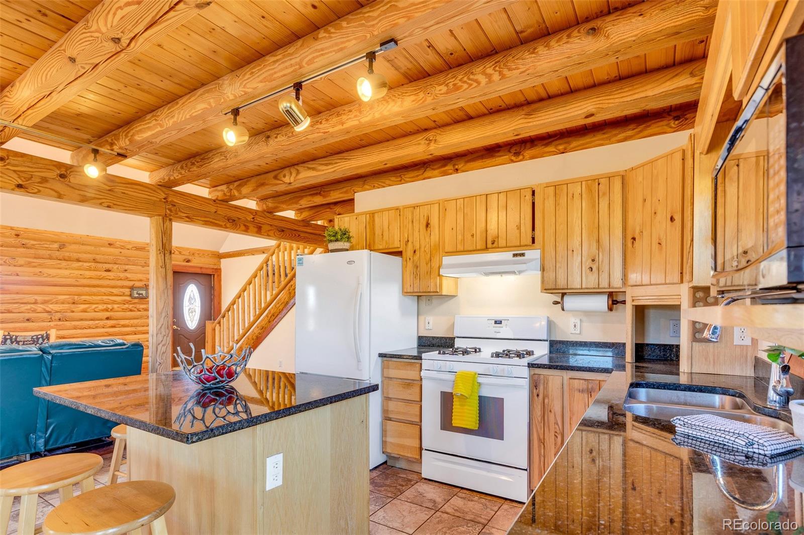 MLS Image #5 for 1528  silverheels road,fairplay, Colorado