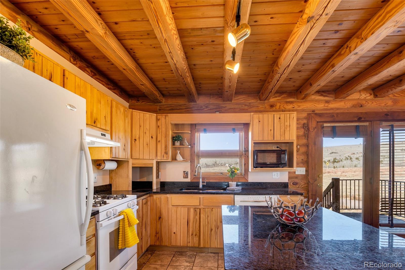 MLS Image #7 for 1528  silverheels road,fairplay, Colorado