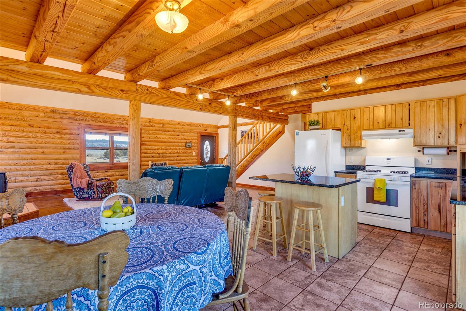 MLS Image #9 for 1528  silverheels road,fairplay, Colorado