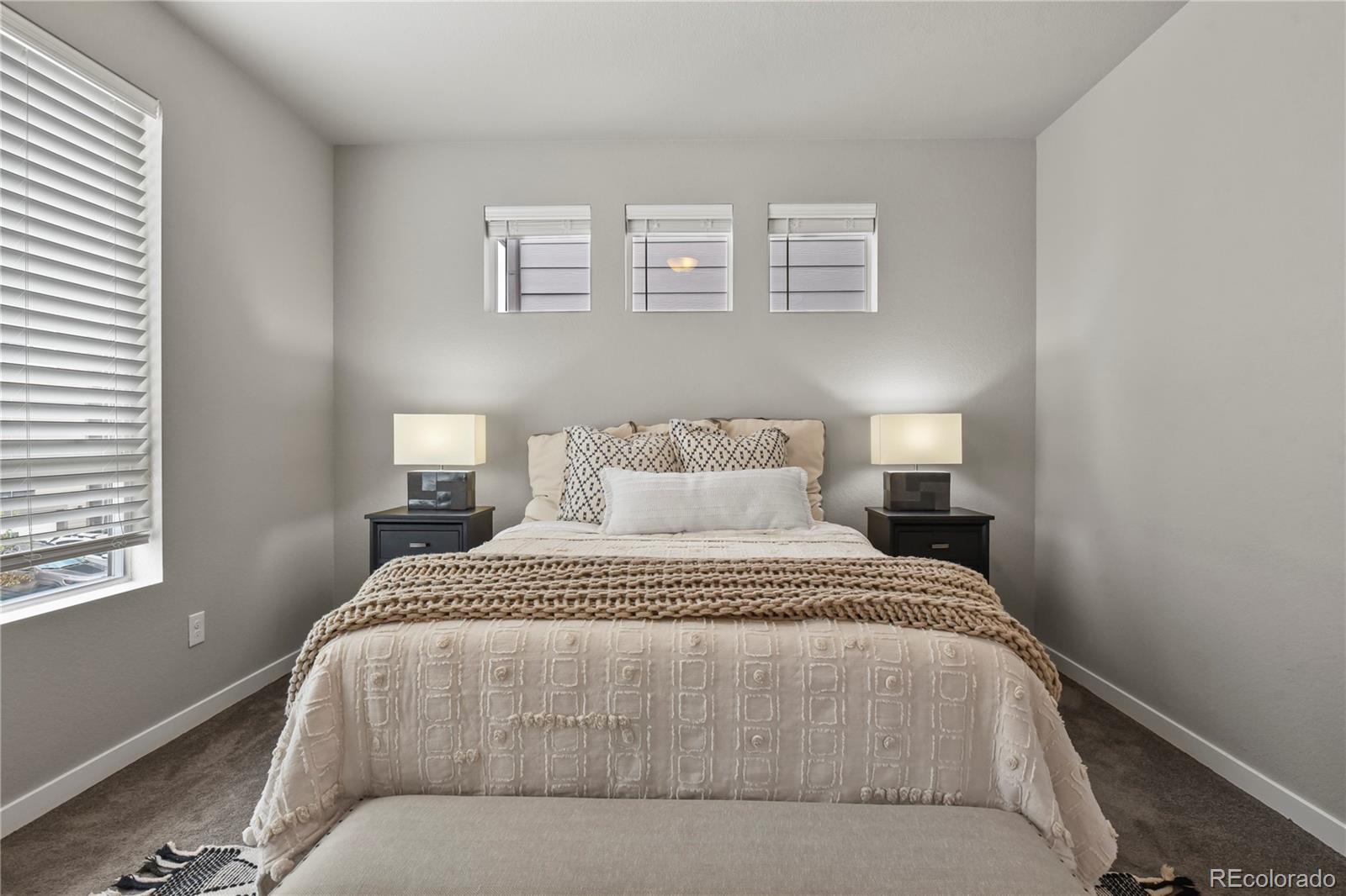 MLS Image #20 for 1344  sunshine valley way,colorado springs, Colorado