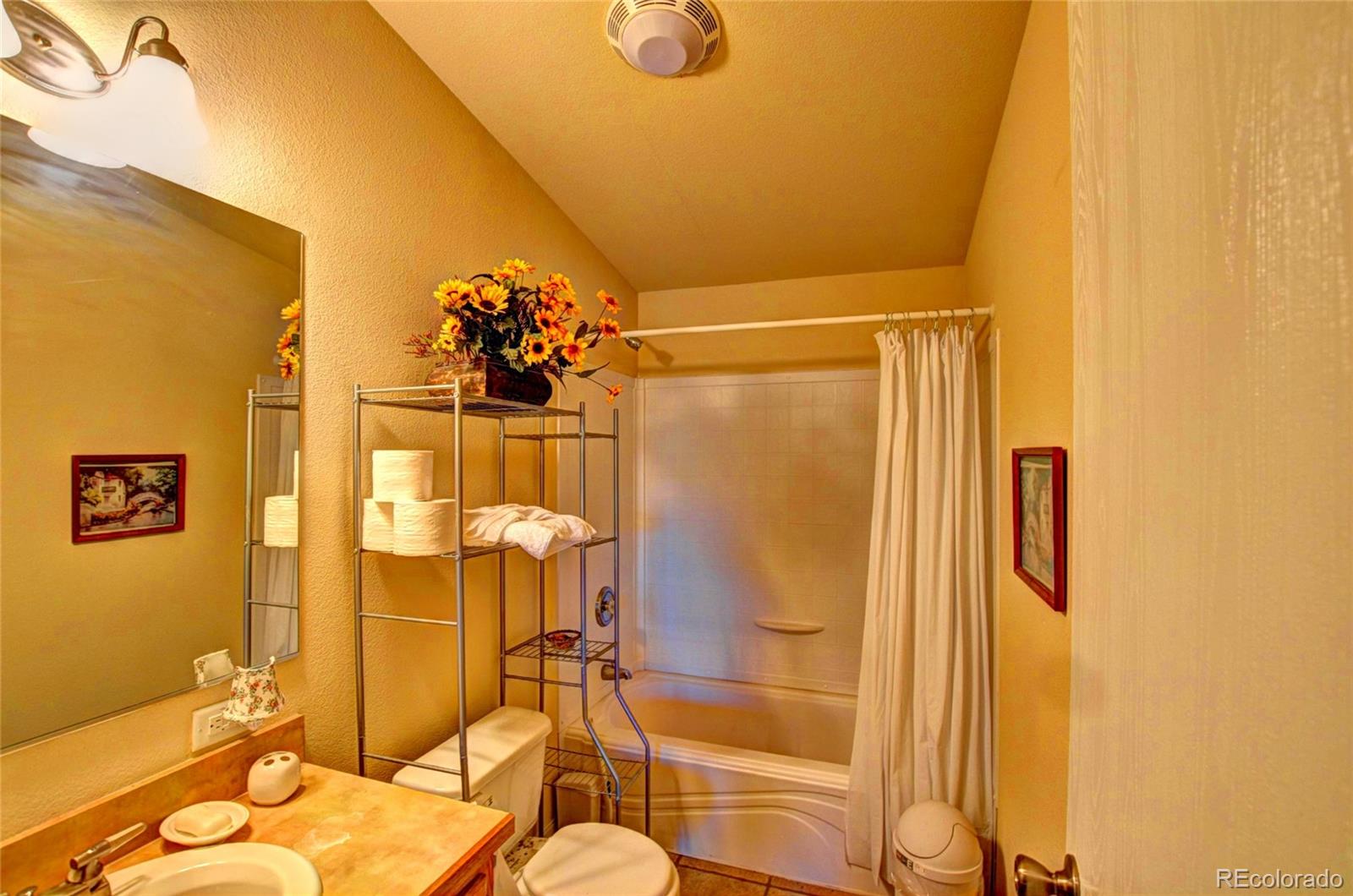 MLS Image #13 for 735  apache trail,como, Colorado