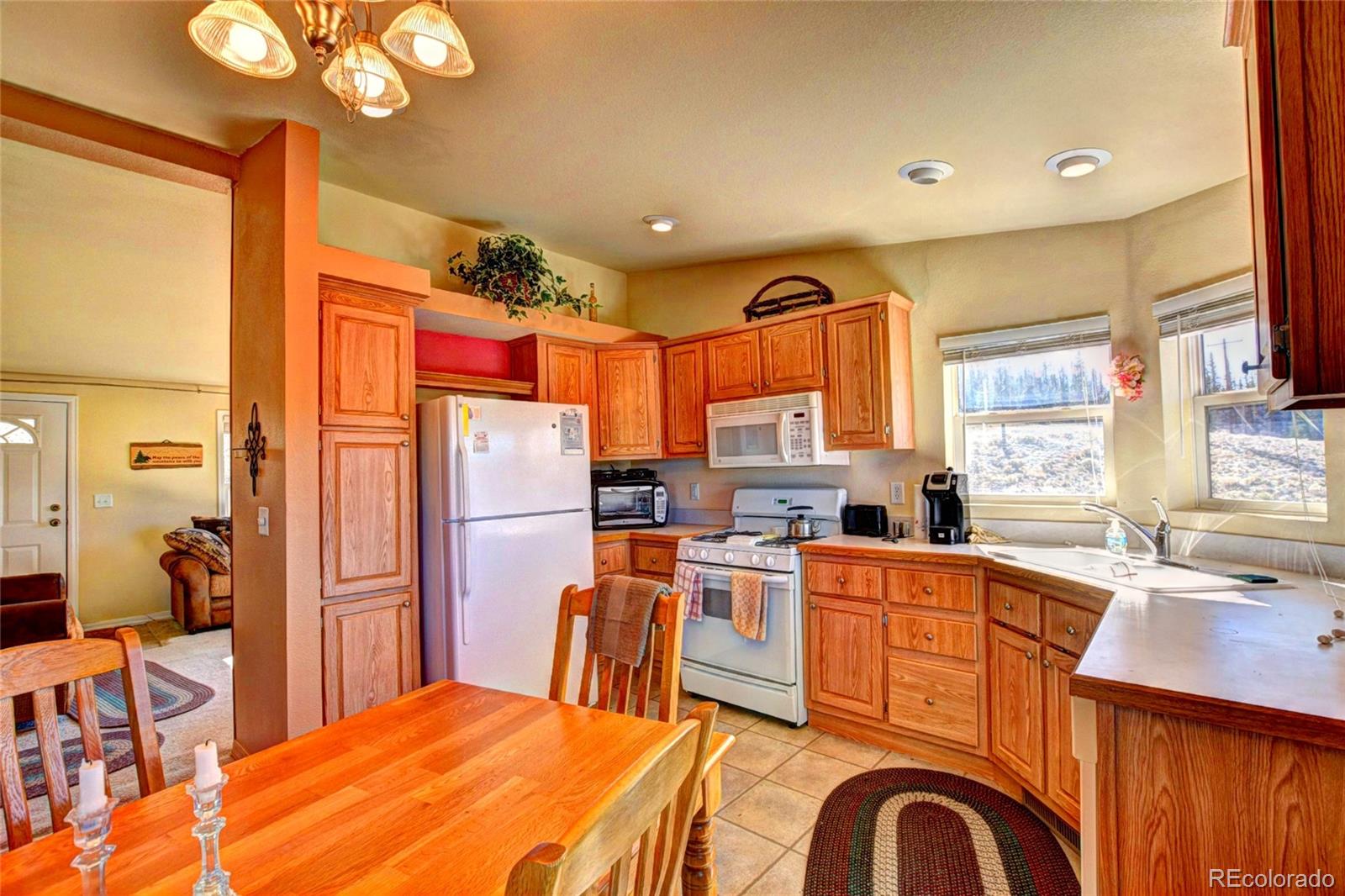 MLS Image #6 for 735  apache trail,como, Colorado