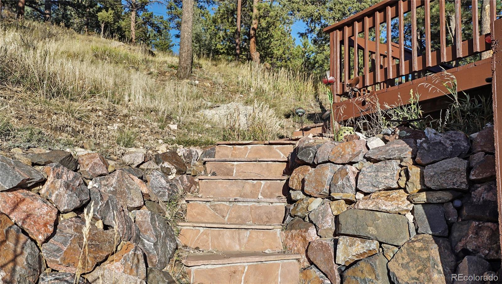 MLS Image #20 for 2729  county road 72 ,bailey, Colorado