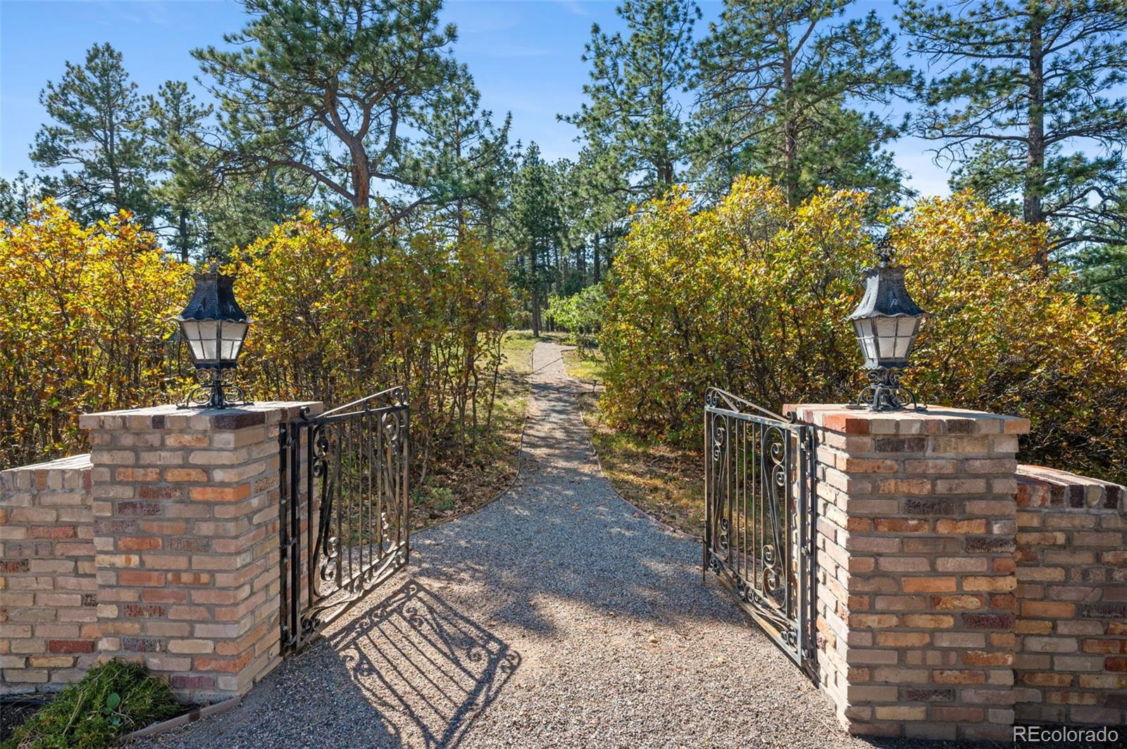 MLS Image #49 for 7225  box canyon road,sedalia, Colorado