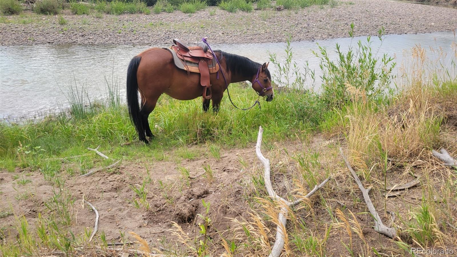 MLS Image #11 for 12753  13.5 ,antonito, Colorado