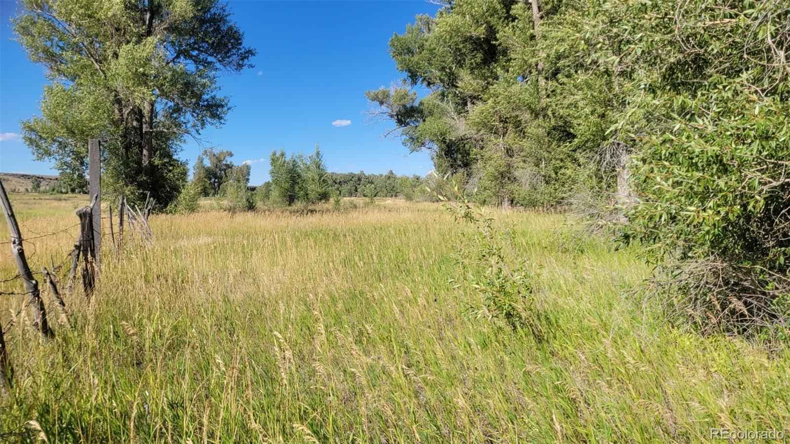 MLS Image #13 for 12753  13.5 ,antonito, Colorado