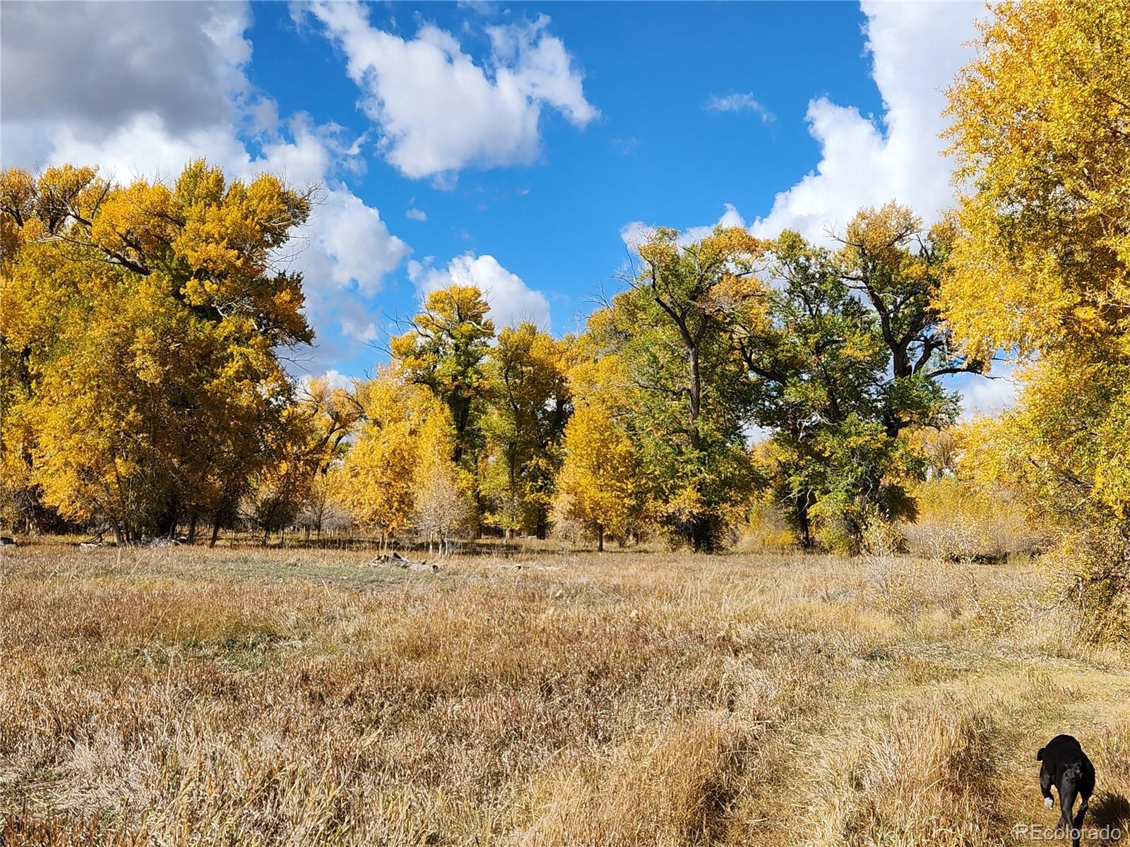 MLS Image #31 for 12753  13.5 ,antonito, Colorado