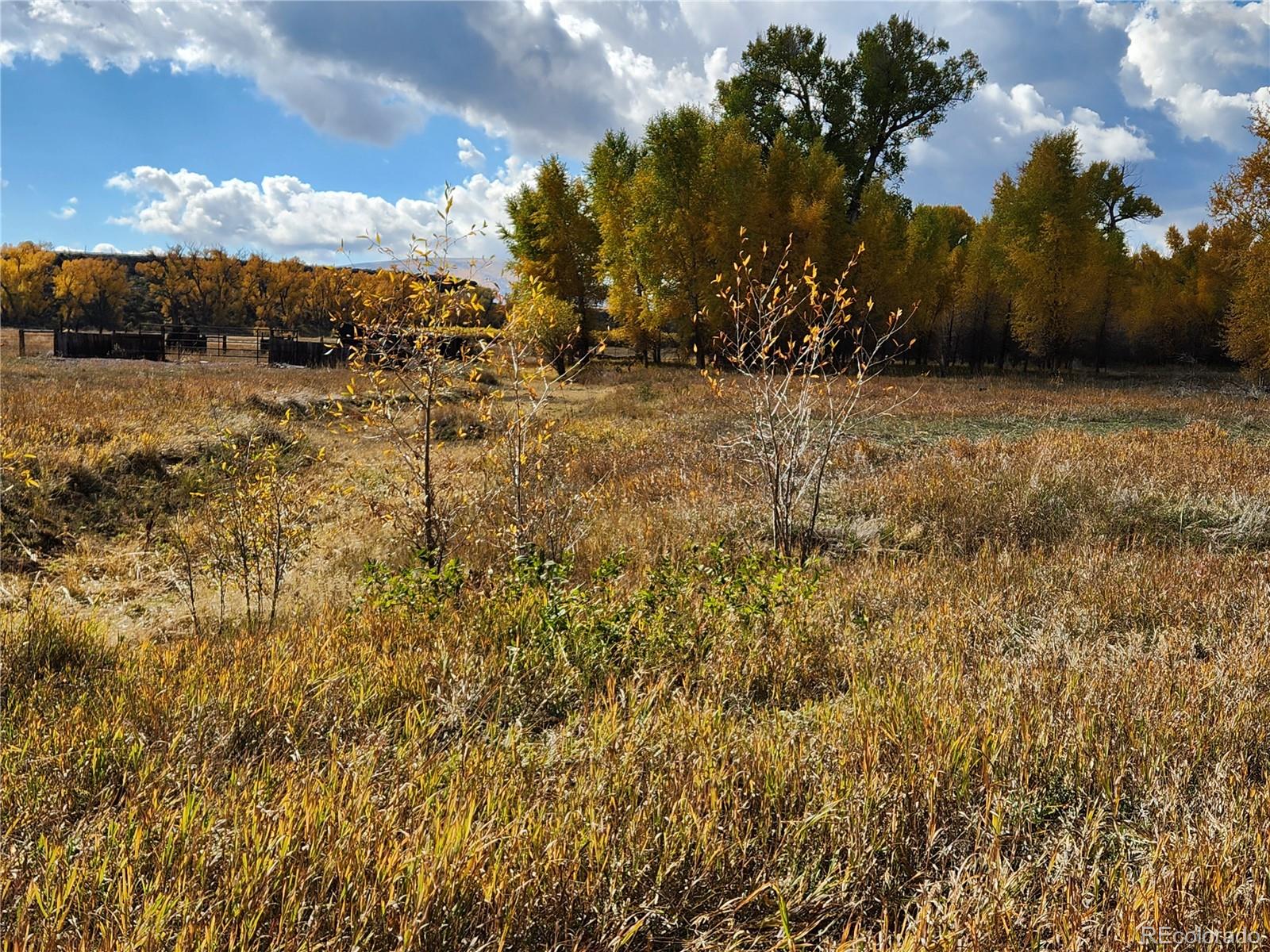 MLS Image #32 for 12753  13.5 ,antonito, Colorado