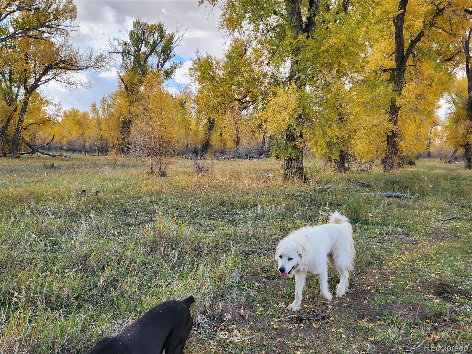 MLS Image #33 for 12753  13.5 ,antonito, Colorado
