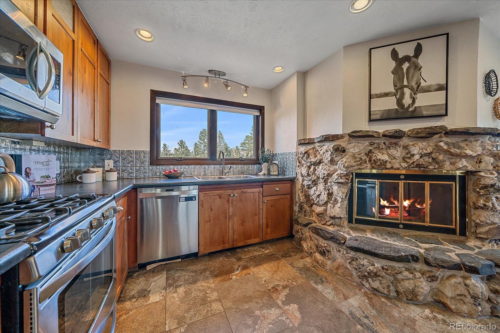 MLS Image #9 for 290  elk valley drive,evergreen, Colorado