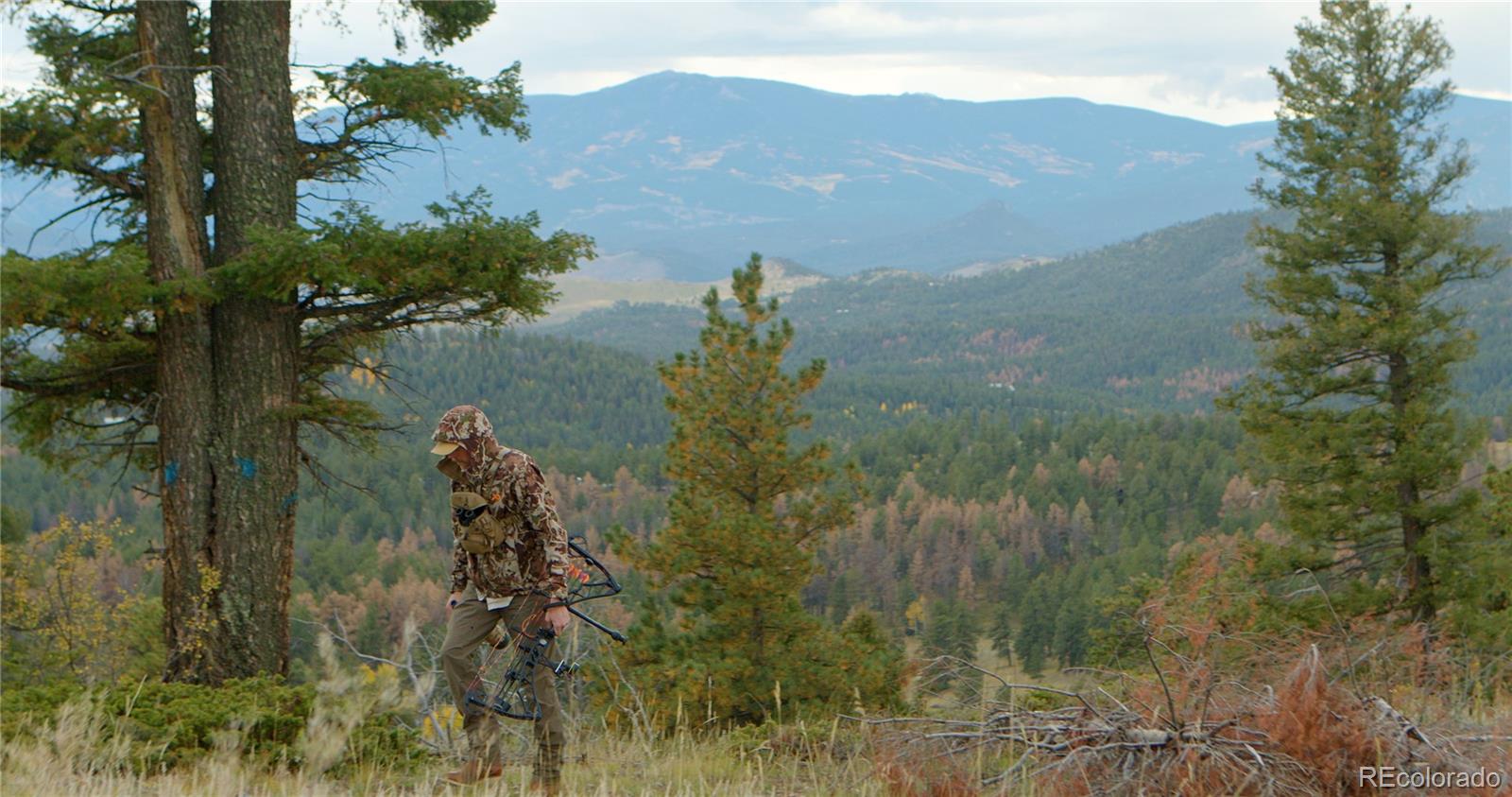 MLS Image #16 for 12434 s us hwy 285 ,conifer, Colorado