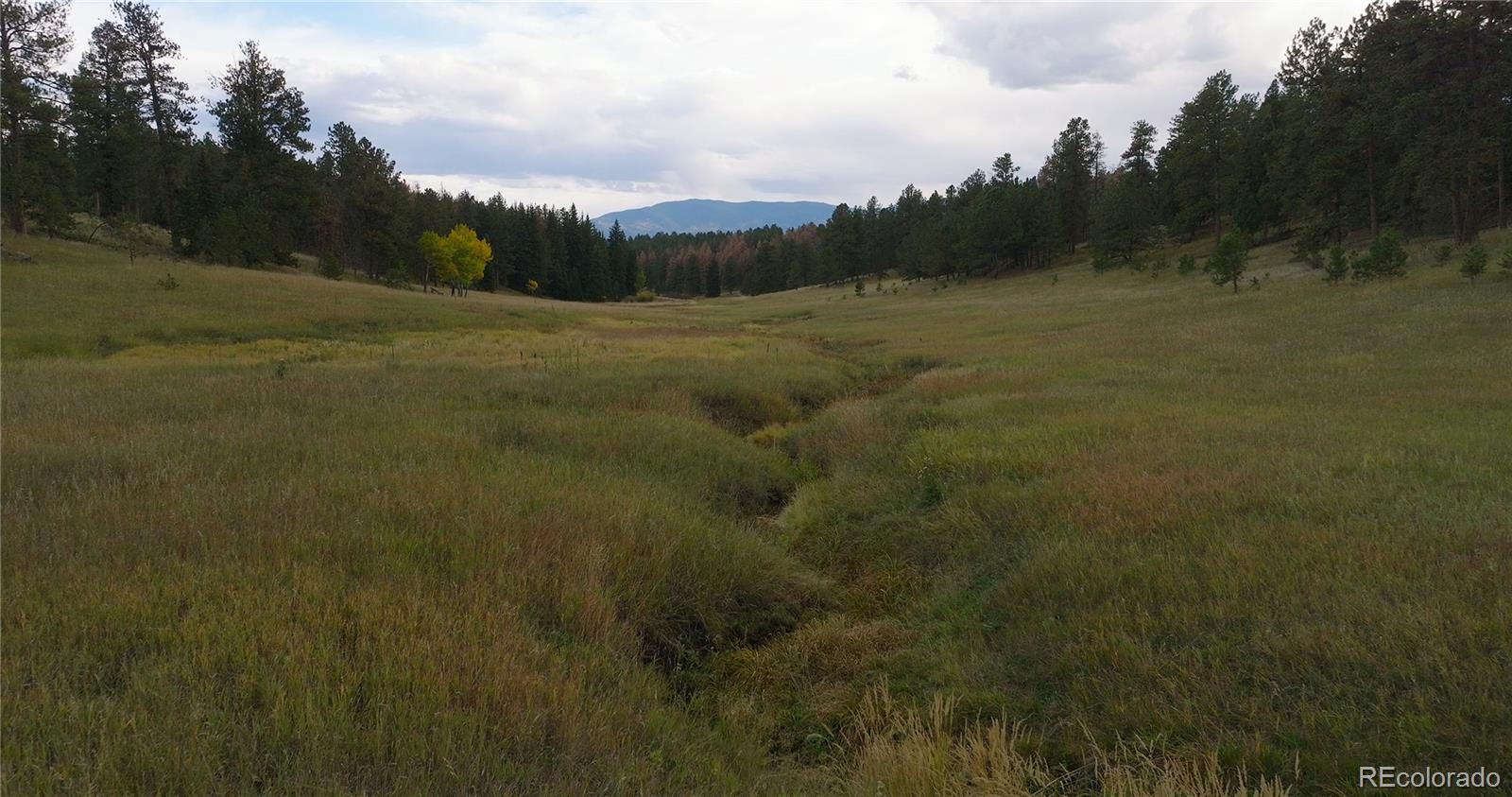 MLS Image #3 for 12434 s us hwy 285 ,conifer, Colorado