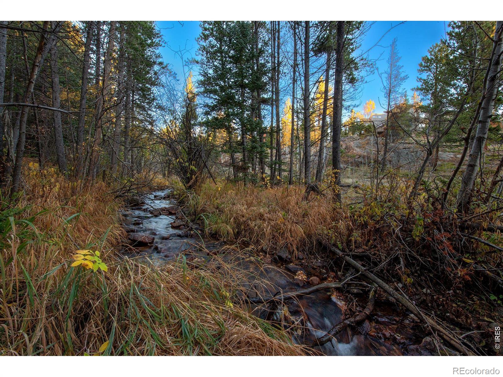 MLS Image #10 for 1997  big owl road,allenspark, Colorado