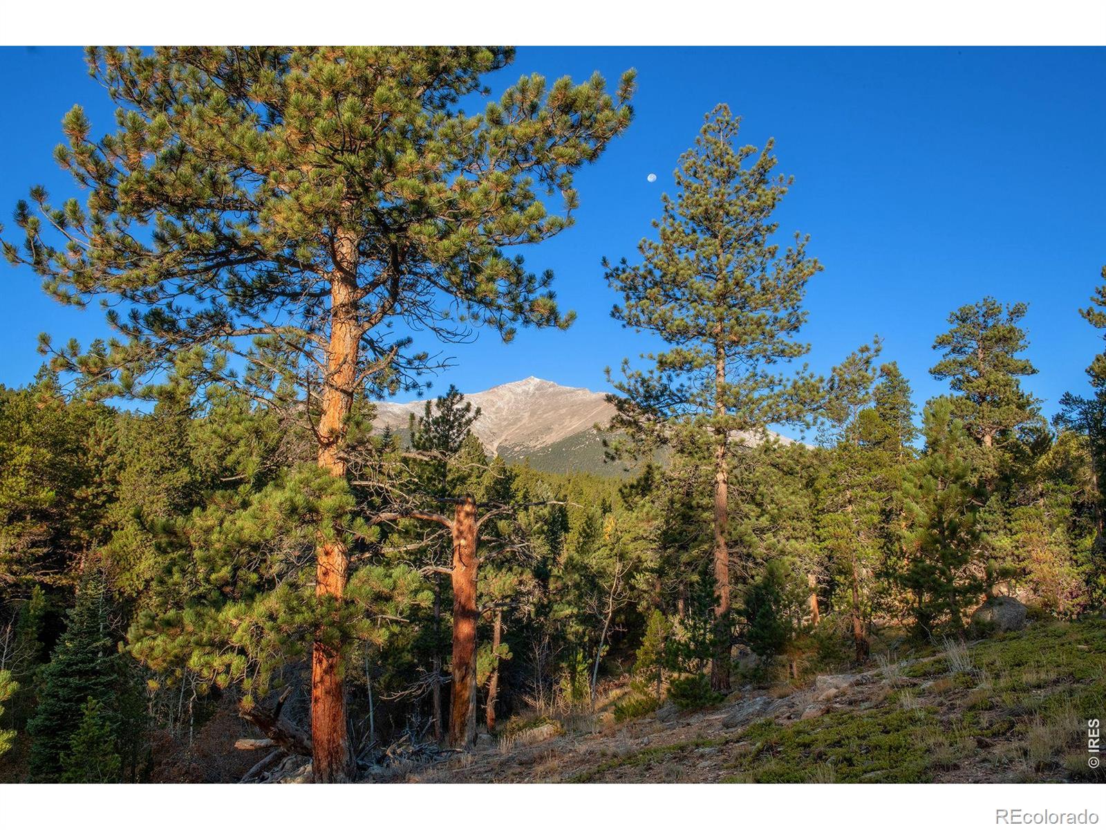 MLS Image #12 for 1997  big owl road,allenspark, Colorado