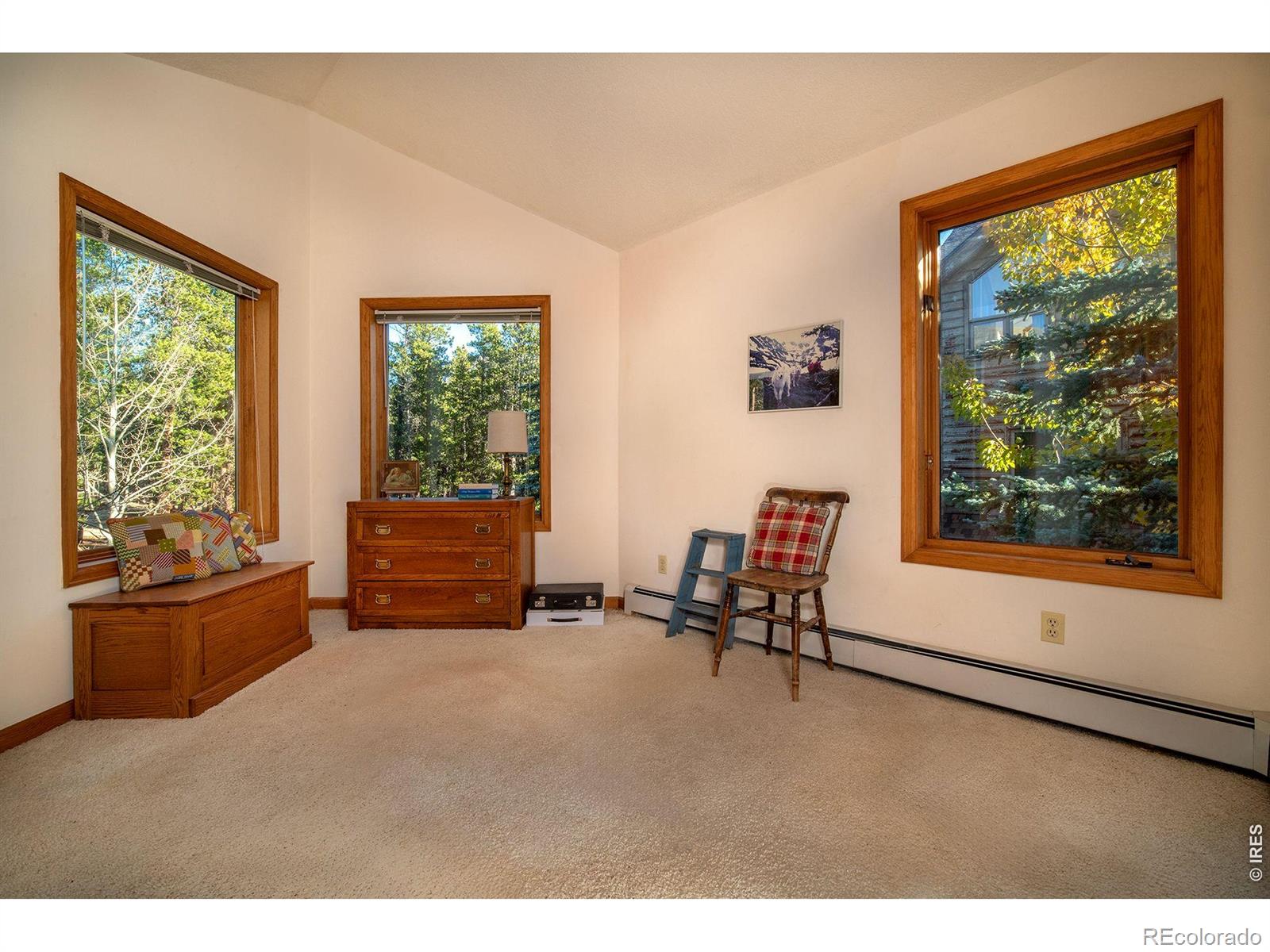 MLS Image #21 for 1997  big owl road,allenspark, Colorado