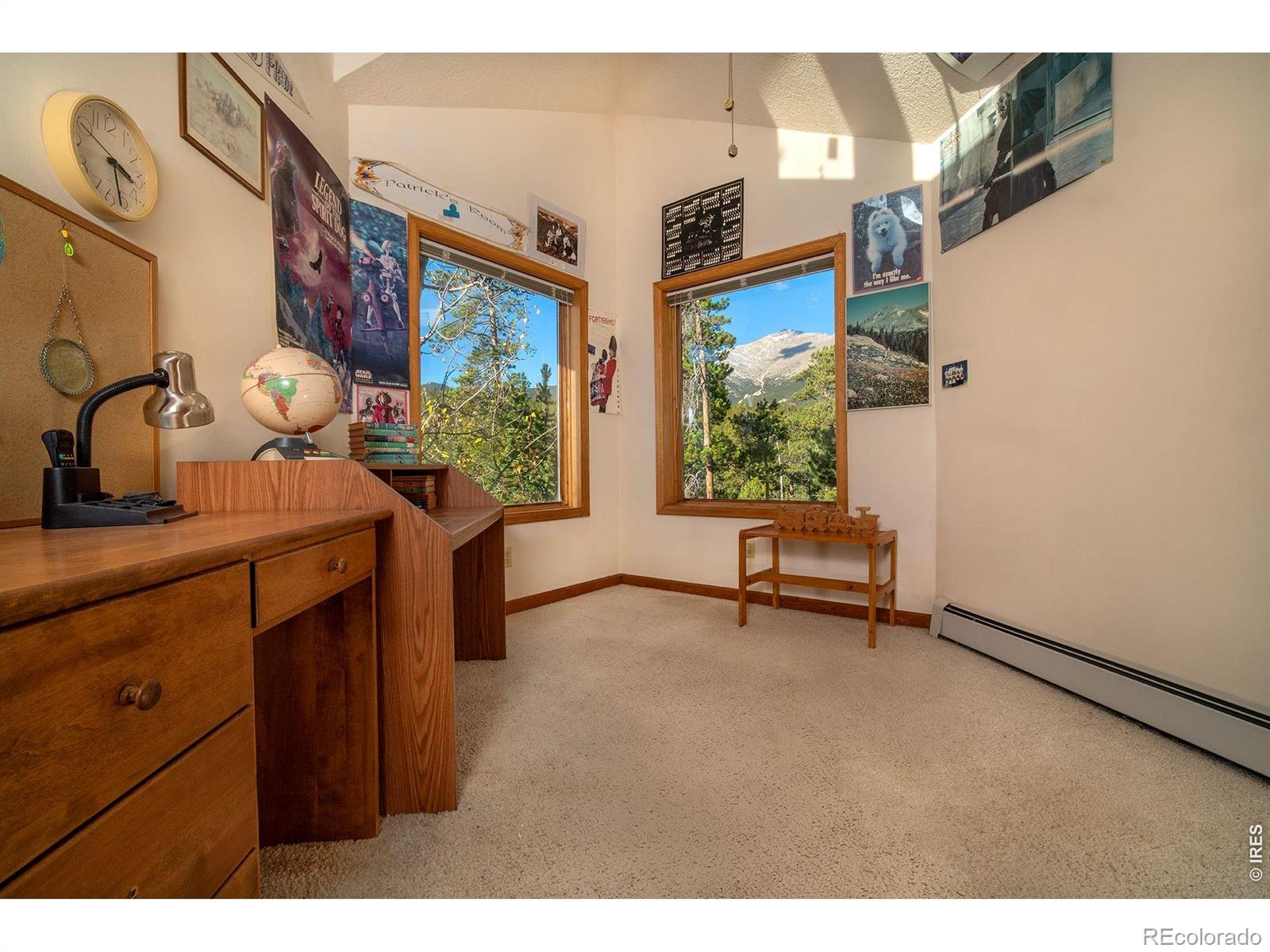 MLS Image #22 for 1997  big owl road,allenspark, Colorado