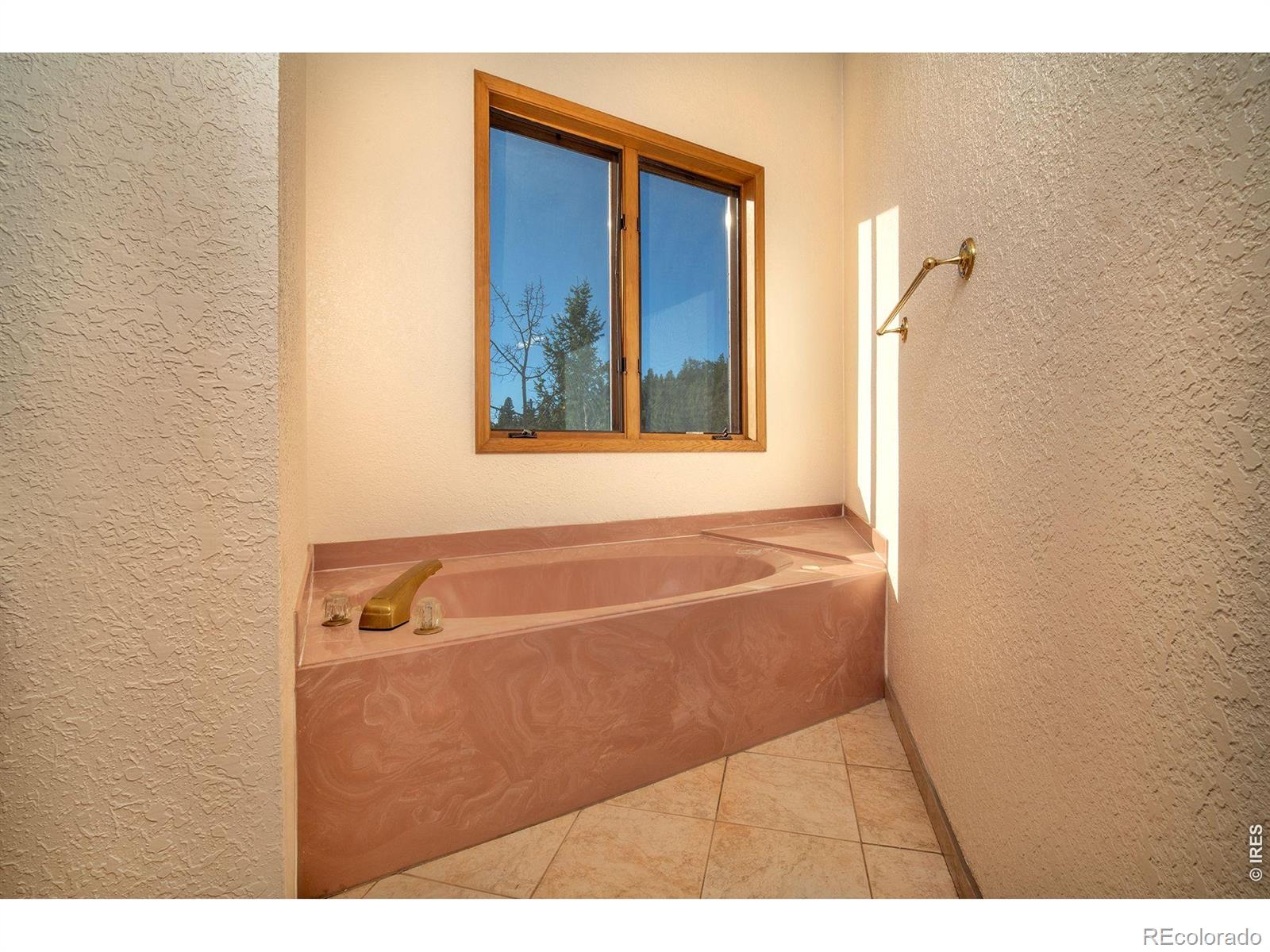 MLS Image #23 for 1997  big owl road,allenspark, Colorado